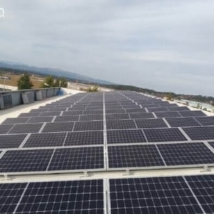 BITZER - Castelo Branco